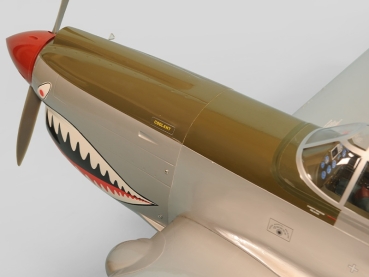 PH137 Phoenix P40 Kitty Warhawk 20CC GP/EP ARF - 161 cm